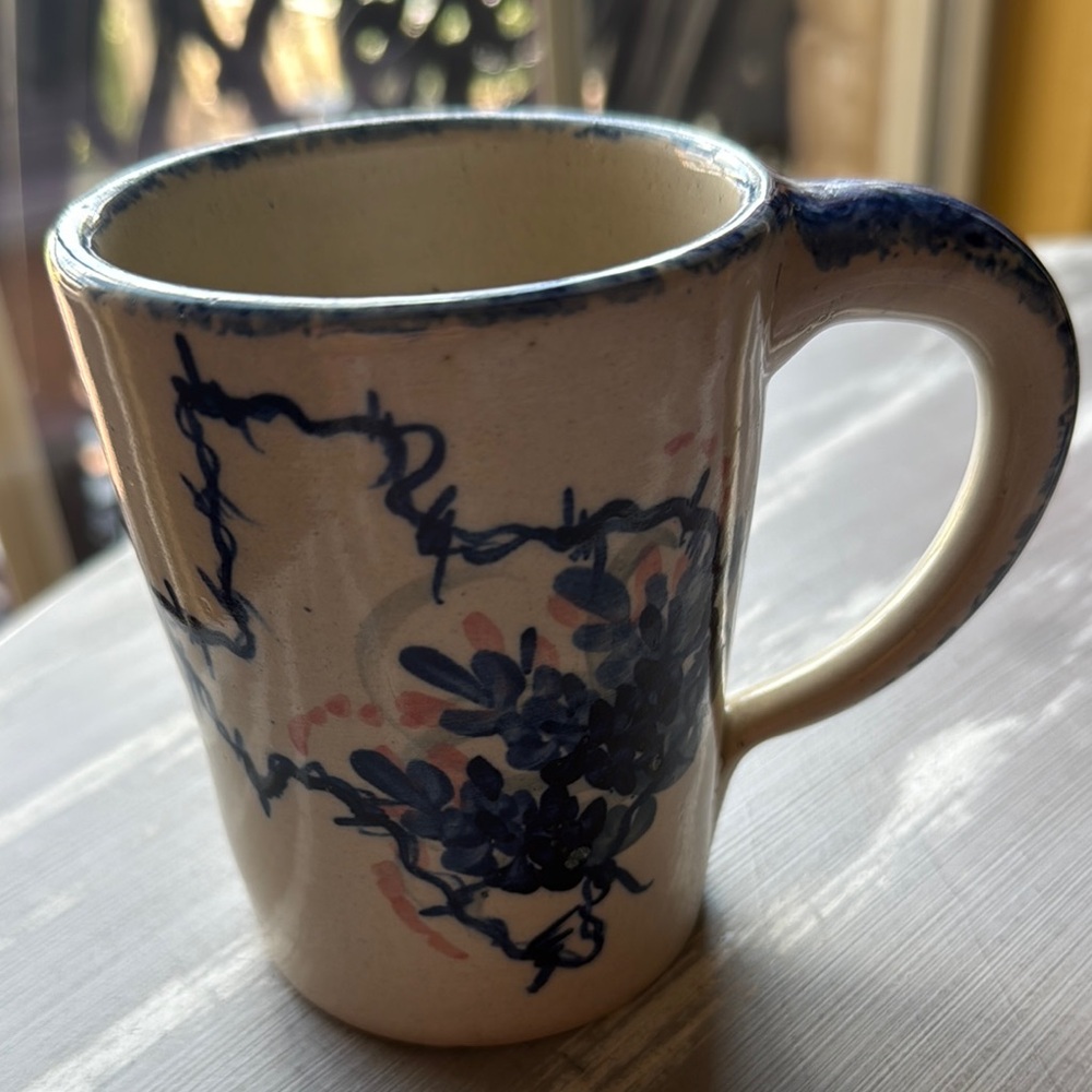 Texas Barb Wired Bluebonnets Pottery Mug 💙